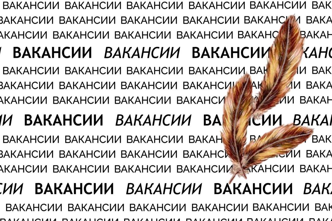 Вакансии для писателей Иллюстрация к новости: Вакансии для писателей
